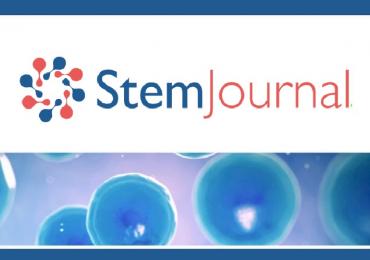 StemJournal, Stem cell research, StemHub