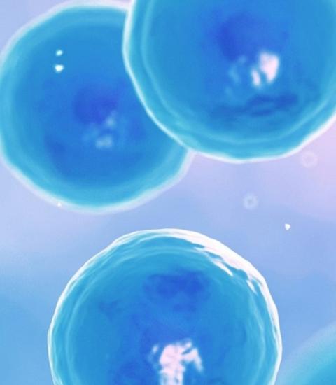 Blue visual of stem cells from StemJournal's cover