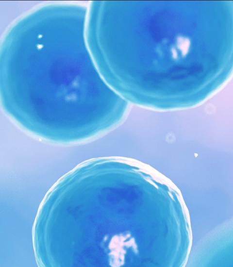 Dark blue cells on pale blue background