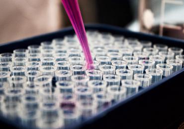 Pipetting pink liquid from plastic viles