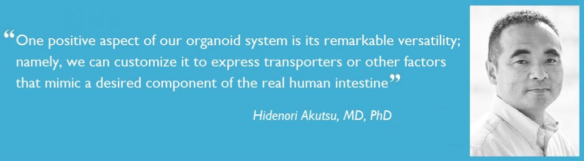 ​​Quote by Hidenori Akutsu about the versatility of this organoid system