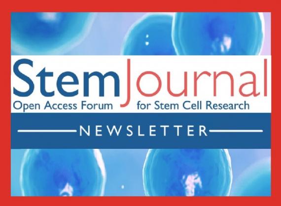 StemJournal newsletter visual (part of StemHub for stem cell researchers)